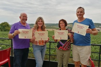 Vendangeur d'un jour : expérience champagne bio dans la Vallée de la Marne - Vignerons Indépendants