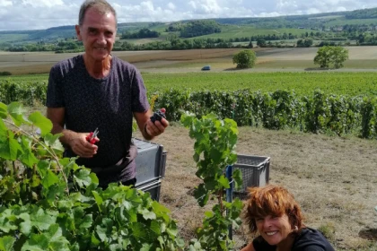 Vendangeur d'un jour : expérience champagne bio dans la Vallée de la Marne - Vignerons Indépendants