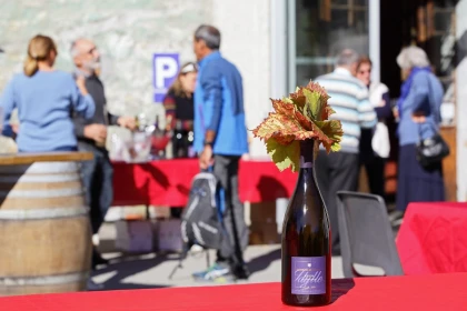Vignes, Vélo & Verres : Vignoble en scène ! - Vignerons Indépendants
