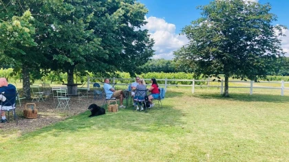 Vignes, Vins, Apéro thème Jeux 09/07 - Vignerons Indépendants