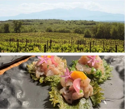 Vignobles en scène - Menu des sens - Vignerons Indépendants