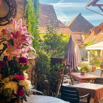 Vins et fromages - Vignerons Indépendants