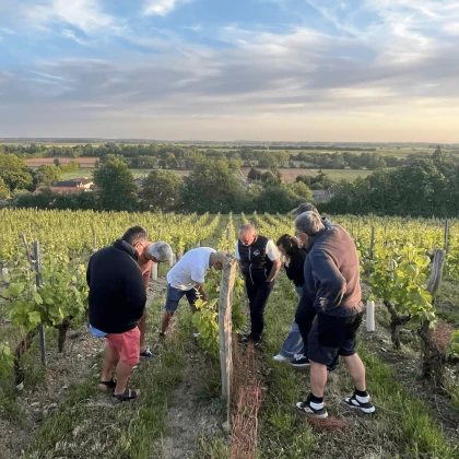 Visite et dégustation au Domaine Bodineau - Vignerons Indépendants