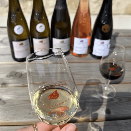 Visite et dégustation au Domaine Bodineau - Vignerons Indépendants