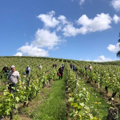 Visite et dégustation au Domaine Bodineau - Vignerons Indépendants