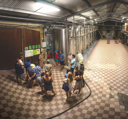 Visite Classique - Vignerons Indépendants