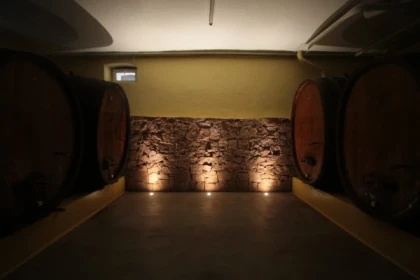 Visite de cave & dégustation - Formule traditionnelle - Vignerons Indépendants