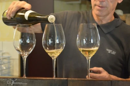 Visite de cave et dégustation - Vignerons Indépendants