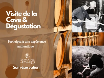 Visite de la cave (chais de vinification) et Dégustation de vin - Vignerons Indépendants