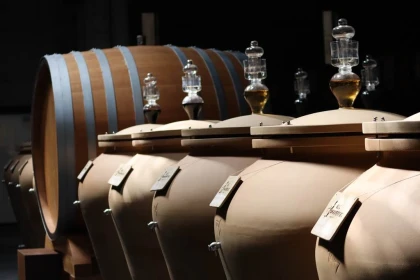 Visite de la cave et dégustation de la gamme - Vignerons Indépendants