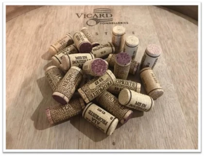 Visite de la propriété et dégustation de 7 vins - Vignerons Indépendants