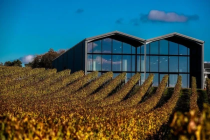 Visite de la Terre au Verre - Vignerons Indépendants