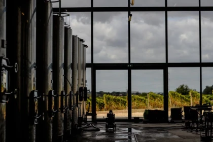 Visite de la Terre au Verre - Vignerons Indépendants