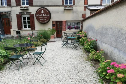 Champagne Alfred TRITANT : Visite Découverte de l'Exploitation à Bouzy - Vignerons Indépendants