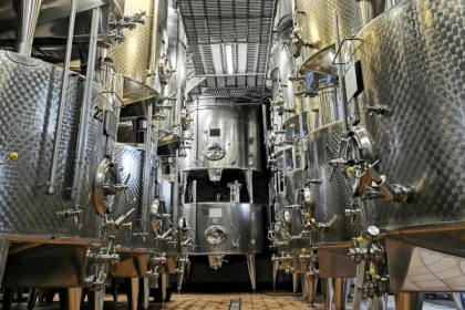 Visite Découverte - Vignerons Indépendants