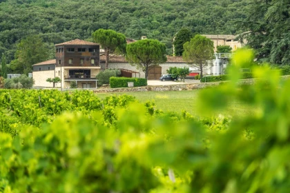 Visite-dégustation au domaine - Vignerons Indépendants
