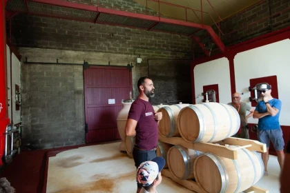 Visite, dégustation de 3 vins et vol en réalité virtuelle - Vignerons Indépendants