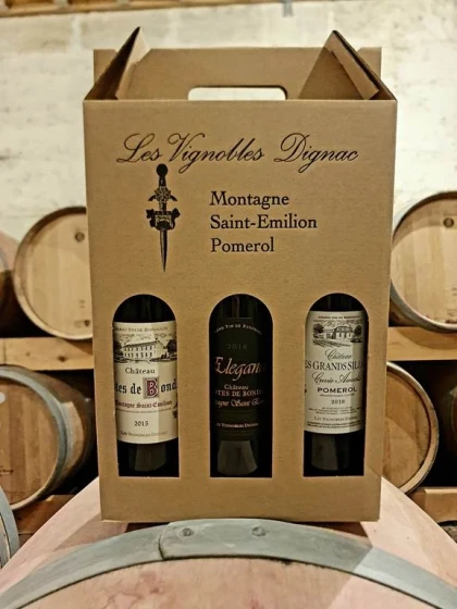 Visite, dégustation de 3 vins et vol en réalité virtuelle - Vignerons Indépendants