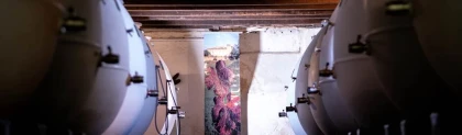 Visite & Dégustation - Vignerons Indépendants