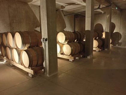 Visite des caves avec dégustation de 7 vins - Vignerons Indépendants