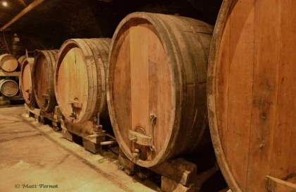 Visite des caves avec dégustation de 7 vins - Vignerons Indépendants