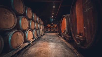 Visite des caves + Dégustation - Vignerons Indépendants