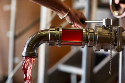 Visite des chais et dégustation - Vignerons Indépendants