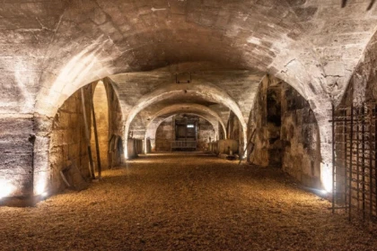 Visite guidée du Château Sainte Barbe : de la vigne au chai - Vignerons Indépendants