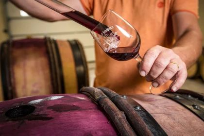 Visite du domaine et dégustation de nos vins bio et nature - Vignerons Indépendants