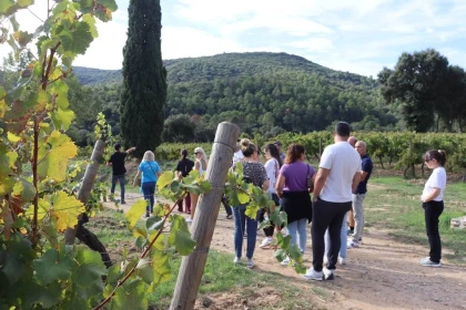 Visite du Vigneron - Vignerons Indépendants