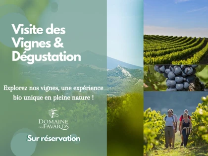 Visite du vignoble (vignes en agriculture biologique) et Dégustation de vin - Vignerons Indépendants