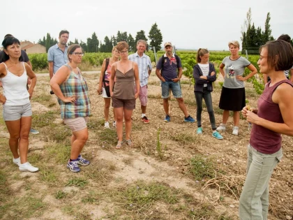 Visite du vignoble (vignes en agriculture biologique) et Dégustation de vin - Vignerons Indépendants