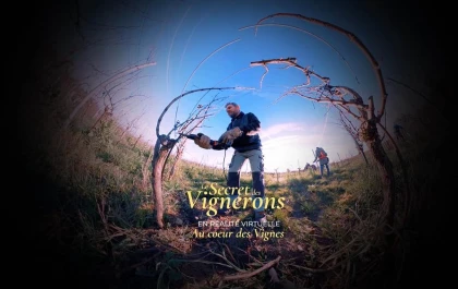 Visite en Réalité Virtuelle "Le Secret des Vignerons" - Vignerons Indépendants
