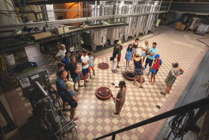 Visite Estivale (en français) - Vignerons Indépendants