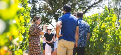 Visite Estivale (en français) - Vignerons Indépendants