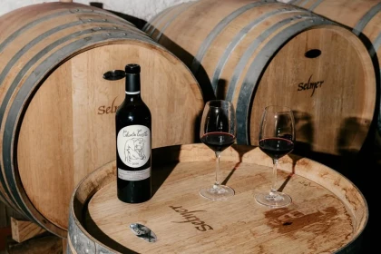 Visite et dégustation au chai - Vignerons Indépendants