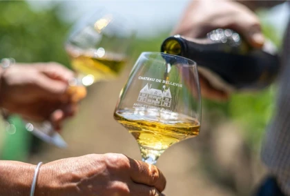Visite et Dégustation au Château de Bellevue - Vignerons Indépendants
