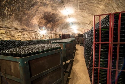 Visite et dégustation commentée de 3 champagnes - Vignerons Indépendants