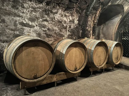 Visite et dégustation commentée de 3 champagnes - Vignerons Indépendants