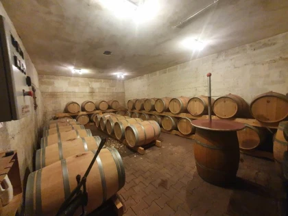 Visite et Dégustation de 3 vins - Vignerons Indépendants