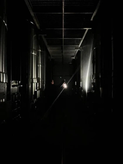 Visite Guidée et Gourmande "Nocturne" - Vignerons Indépendants