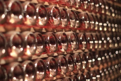 Visite Immersion - Champagne Alfred TRITANT - Vignerons Indépendants