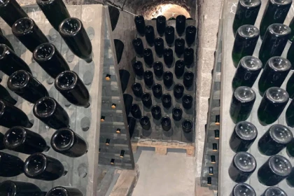 Champagne Alfred Tritant: Visite Immersion dans la Cave Souterraine de Bouzy - Vignerons Indépendants