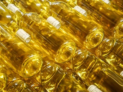 Visite Immersive - Vignerons Indépendants