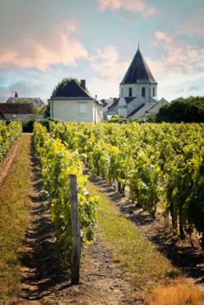 Visite Prestige - Vignerons Indépendants