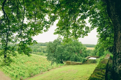 Balade commentée et dégustation libre au château Arton - Vignerons Indépendants