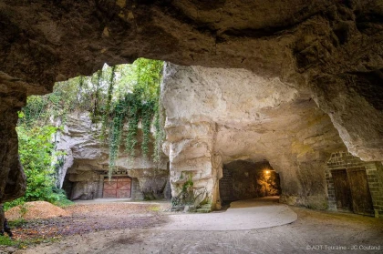 Voyage au centre de la cave - Vignerons Indépendants