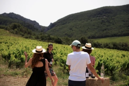 Balade guidée et dégustation de vins dans le vignoble - Vignerons Indépendants