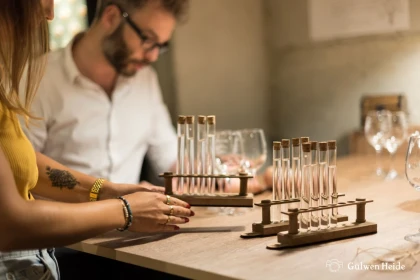 WINE GAMING (version Française) - Vignerons Indépendants