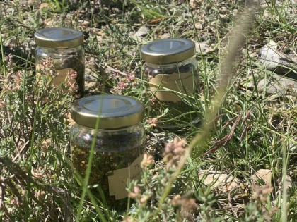 21 juin : 09h00 à 12h00 -  PUYGIRON : Balade Cueillette & Flacons - Vignerons Indépendants